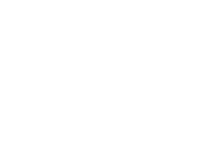 spi-logo-white